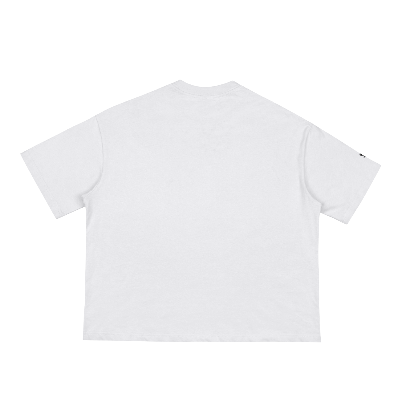 Nature Does Not Hurry Boxy Tee