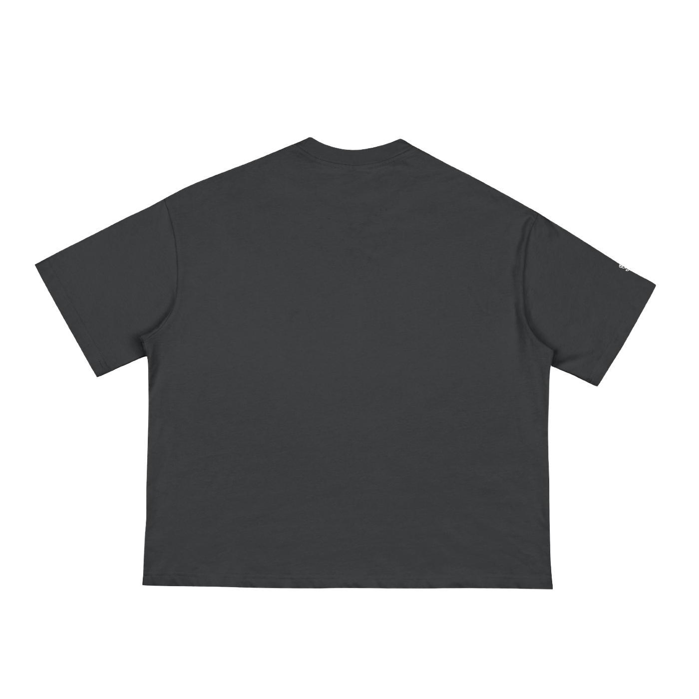 Nature Does Not Hurry Boxy Tee